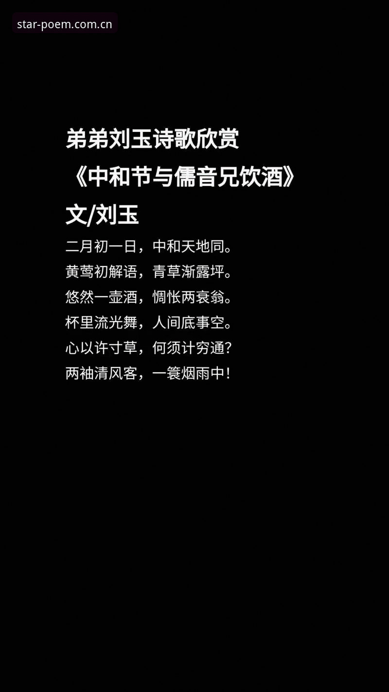 中国流光写诗版APP下载2026数据评测安卓版 中国流光写诗版APP下载2026数据评测安卓版详解